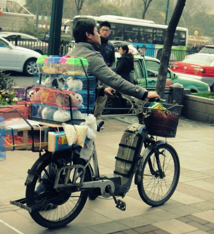 Таня Шулькина | Bat Yam