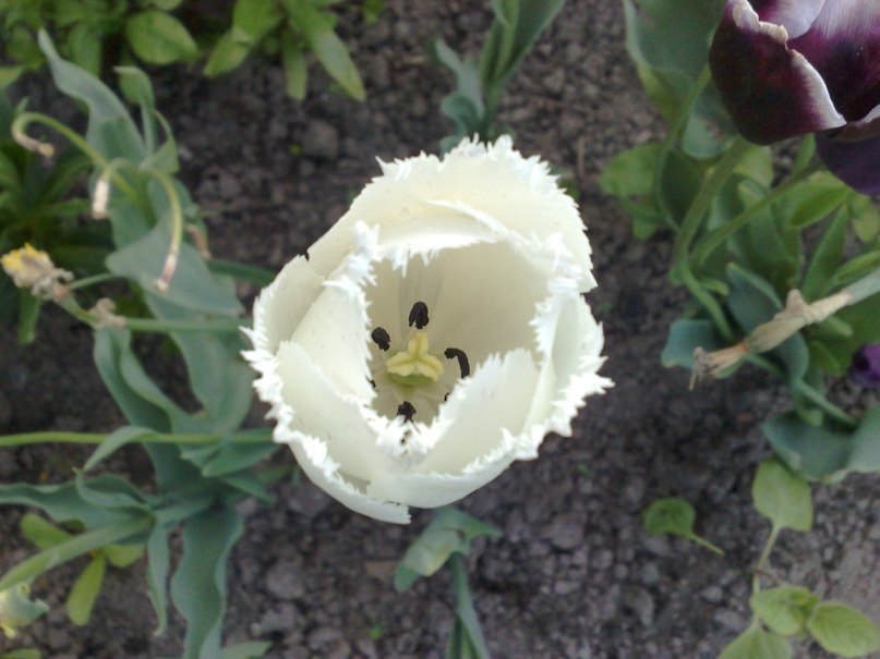 Алексей Яковлев | Москва