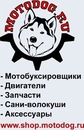 Фотография Dog Moto