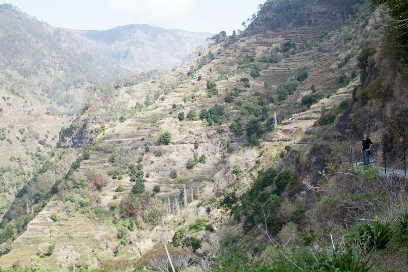 Антон Упениек | Таллин