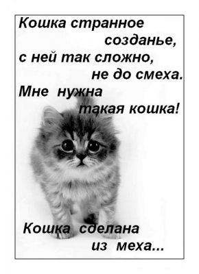 №1, Катерина просто катя №1, Катерина просто катя