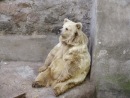 Фотография Александр Безродный
