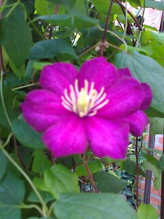 Ирина Кравчук | Тихорецк