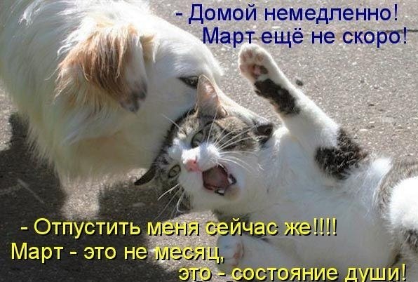 Юлия Хакимзянова | Тюмень