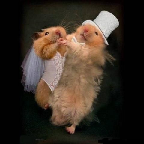 №22, Александр Даная, Николаевка №22, Александр Даная, Николаевка