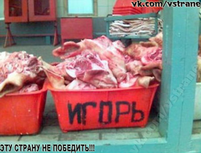 Алексей Олинец живу в третьем цилиндре с синенькой искоркой | Коломна