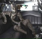 Фотография Екатерина Ганишина