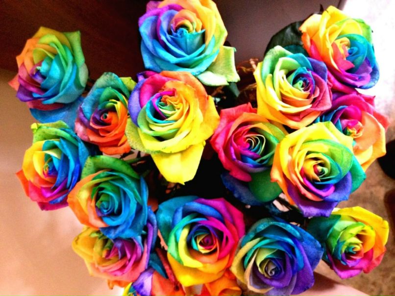 Aibota Abisheva | Алматы