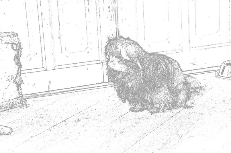 Николай Никонов _Юрич_ | Тюмень