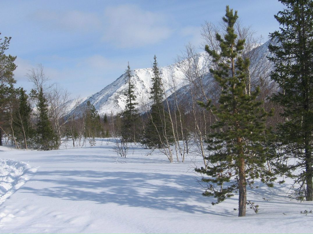 Демьян Лесик | Санкт-Петербург