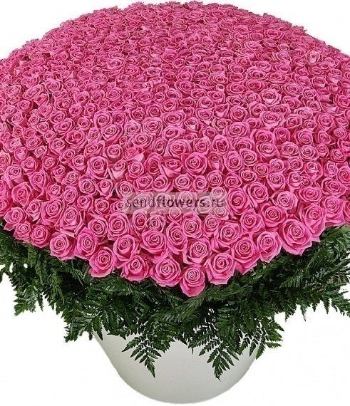 Павел Митрошенко | Новосибирск