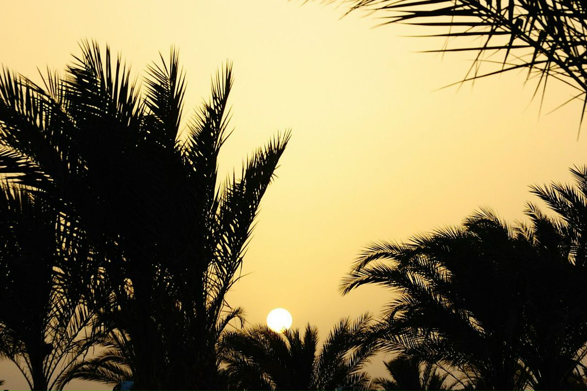 Наталья Денисова | Москва