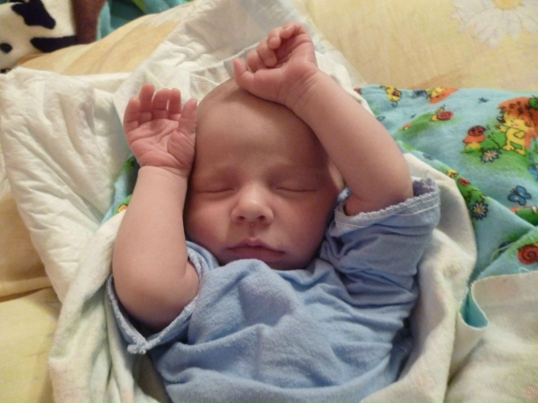 Наталья Ширяева | 