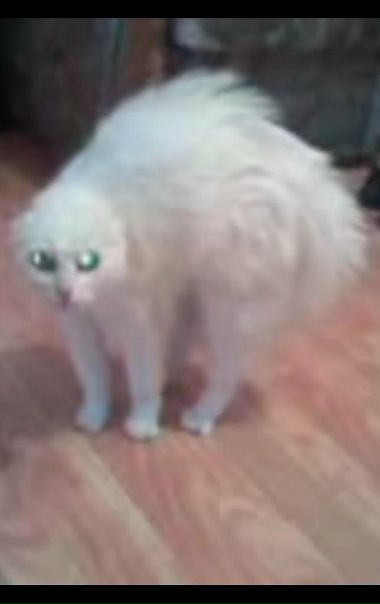 №69, Alessio Volkman, Нижний Новгород №69, Alessio Volkman, Нижний Новгород