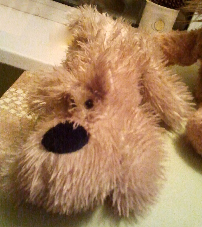 Олег Судник | Минск