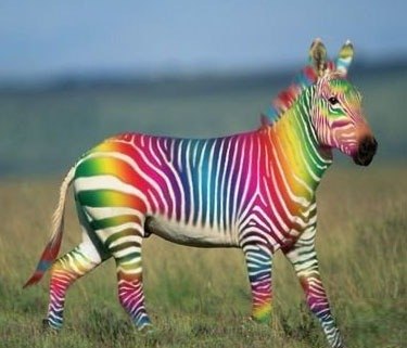 Елена Лебедева | Darmstadt