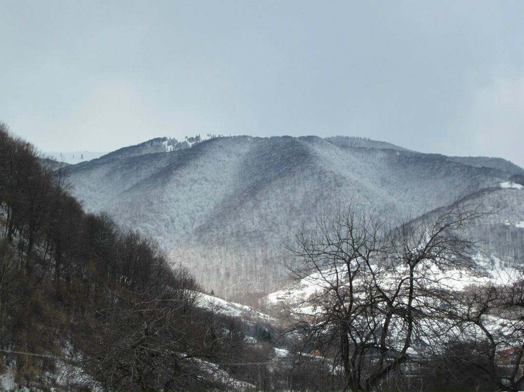 Миша Ломака | Деражня