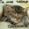 Аватар: 78 Dg