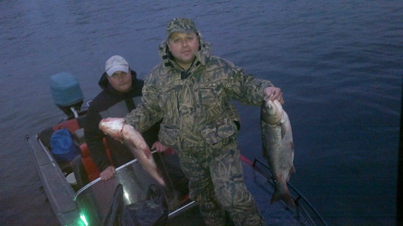 Роман Лисица | Марганец