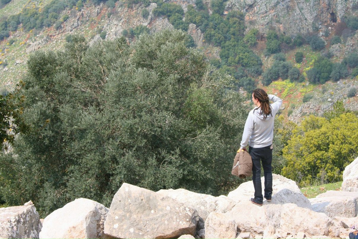 Anton Baruzdin | Acre