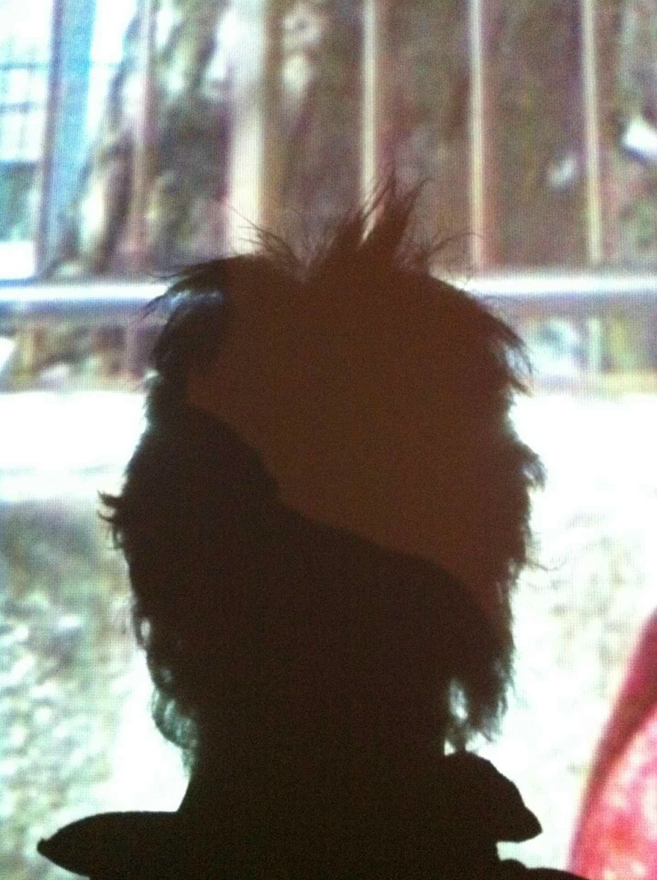 Дмитрий Лаврухин | Санкт-Петербург