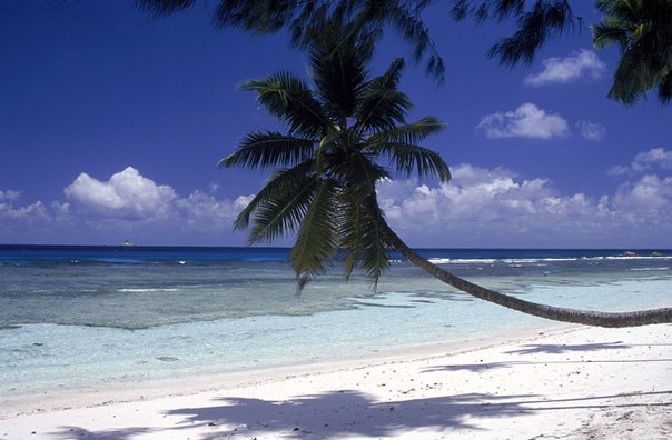 Георгий Симонов | Белорецк