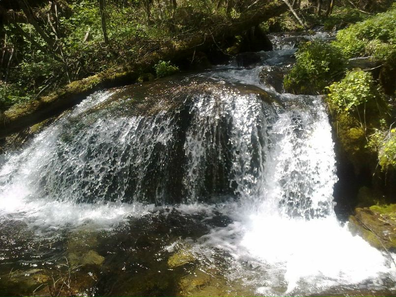 Михаил Анисимов | Иркутск