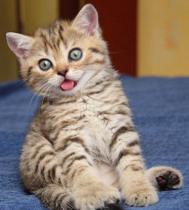 Анютка Понамарева *Cr@zY* | Челябинск