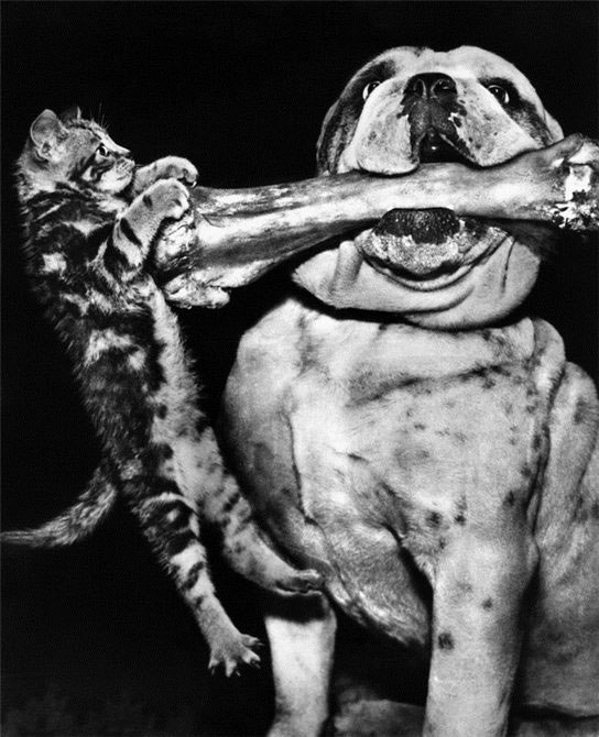 Александр Свирчевский Mystic OLD.G.B. | Киев