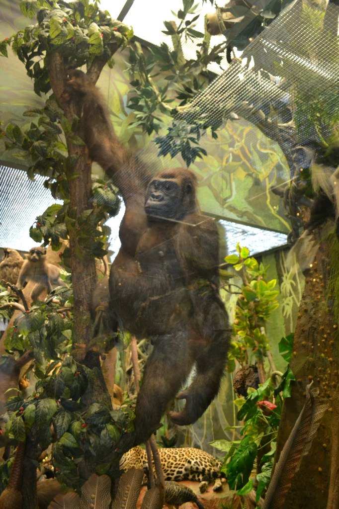 Евгений Байдала ☭★★★☭ | Москва