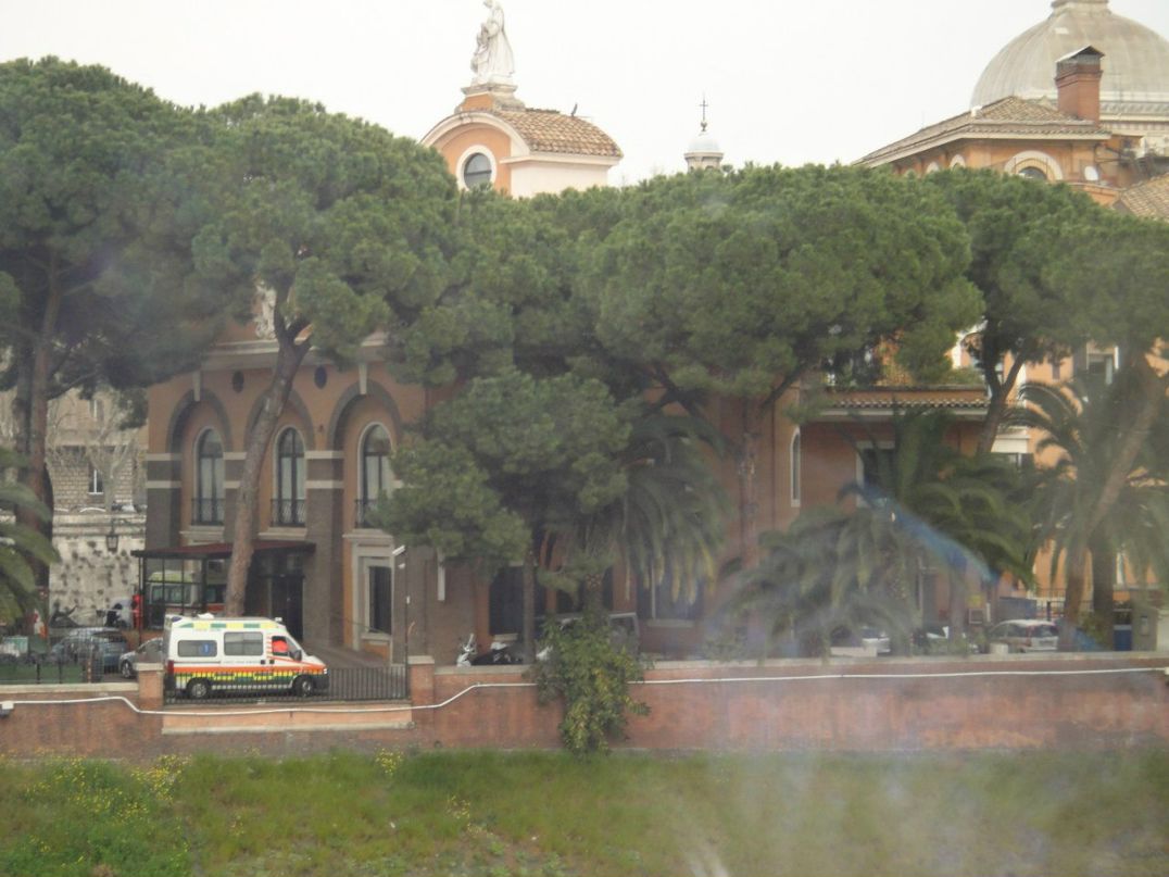 Наталия Киселёва | Гатчина