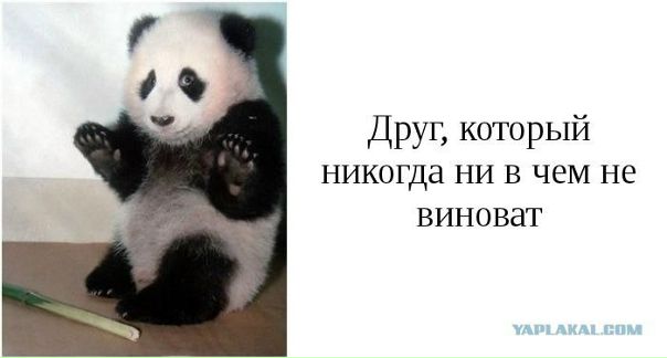 №44, Анастасия Дацишина, Харьков №44, Анастасия Дацишина, Харьков