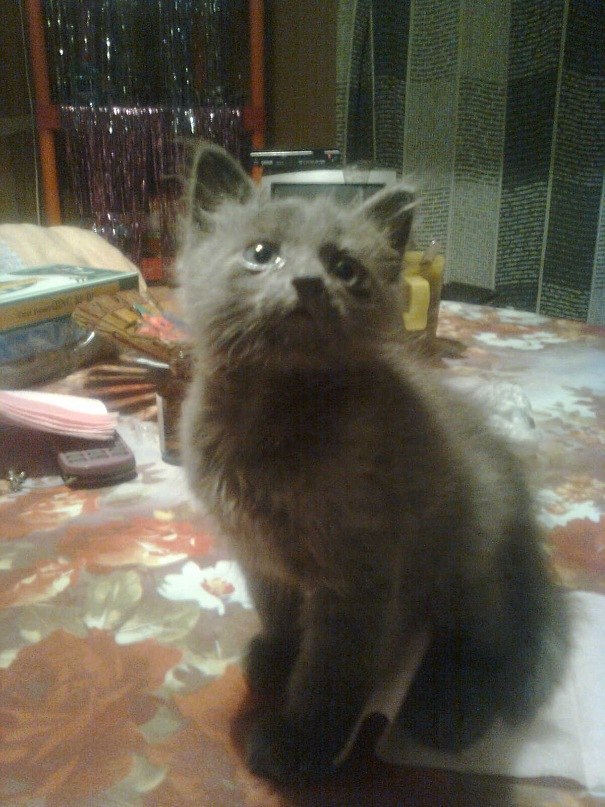 Светлана Карабанова | Москва