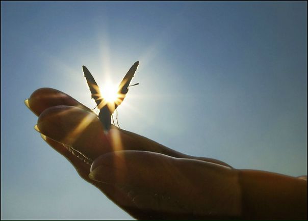 №18, Катерина Лейцюсь, Ивано-Франковск №18, Катерина Лейцюсь, Ивано-Франковск