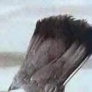 №127, Мила Алексеева, Алматы №127, Мила Алексеева, Алматы