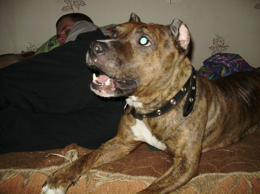 Антон Тушинский | Чудово