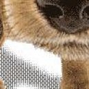 №5, Уляна Каракоцюк, Гусятин №5, Уляна Каракоцюк, Гусятин