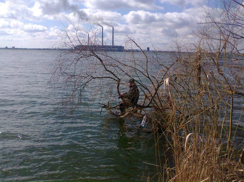 Ігор Сенів | Долина