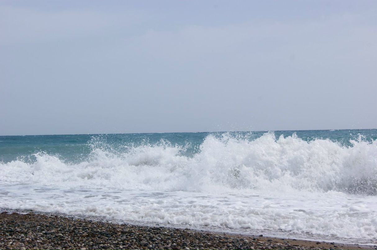 Анатолий Зырянов | Москва