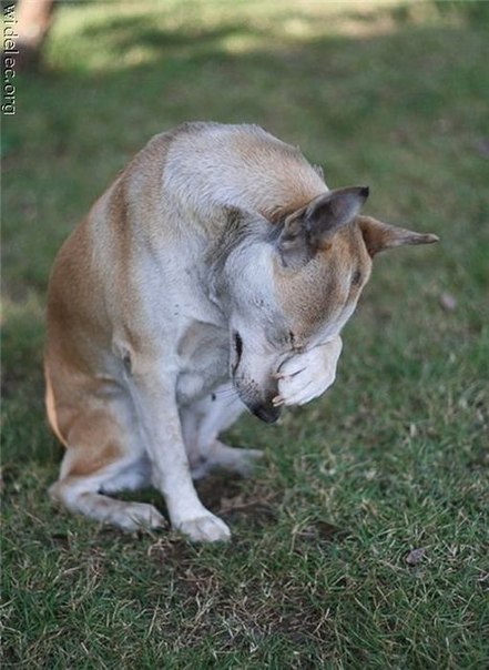 №9, Алексей Кравченко, 38 лет, Москва №9, Алексей Кравченко, 38 лет, Москва