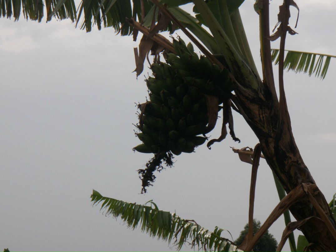 Вадим Иванов | 