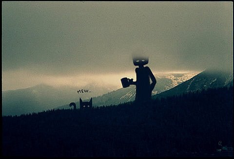 Максим Дикалов | 