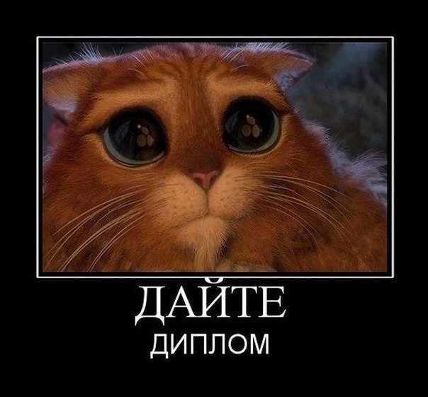 Татьяна Иванец | Чернигов