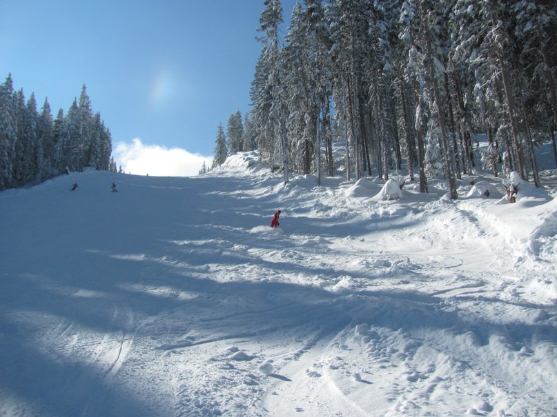 Данила Куроян | Москва