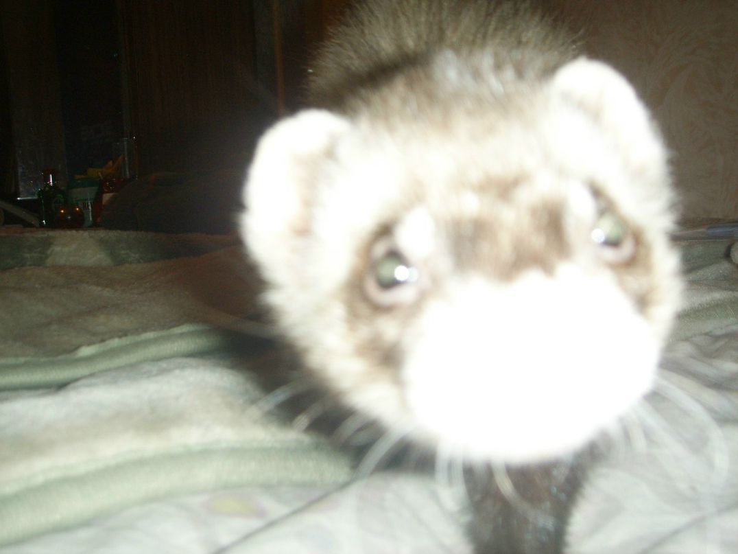 Татьяна Борисова | Санкт-Петербург