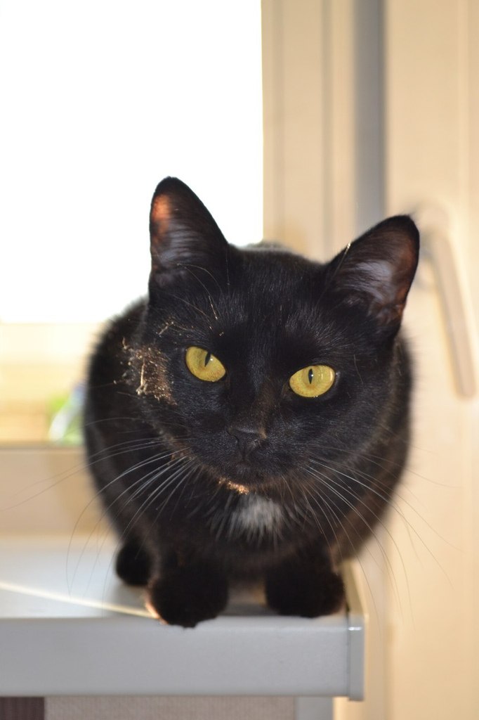 Ольга Савелова | Санкт-Петербург