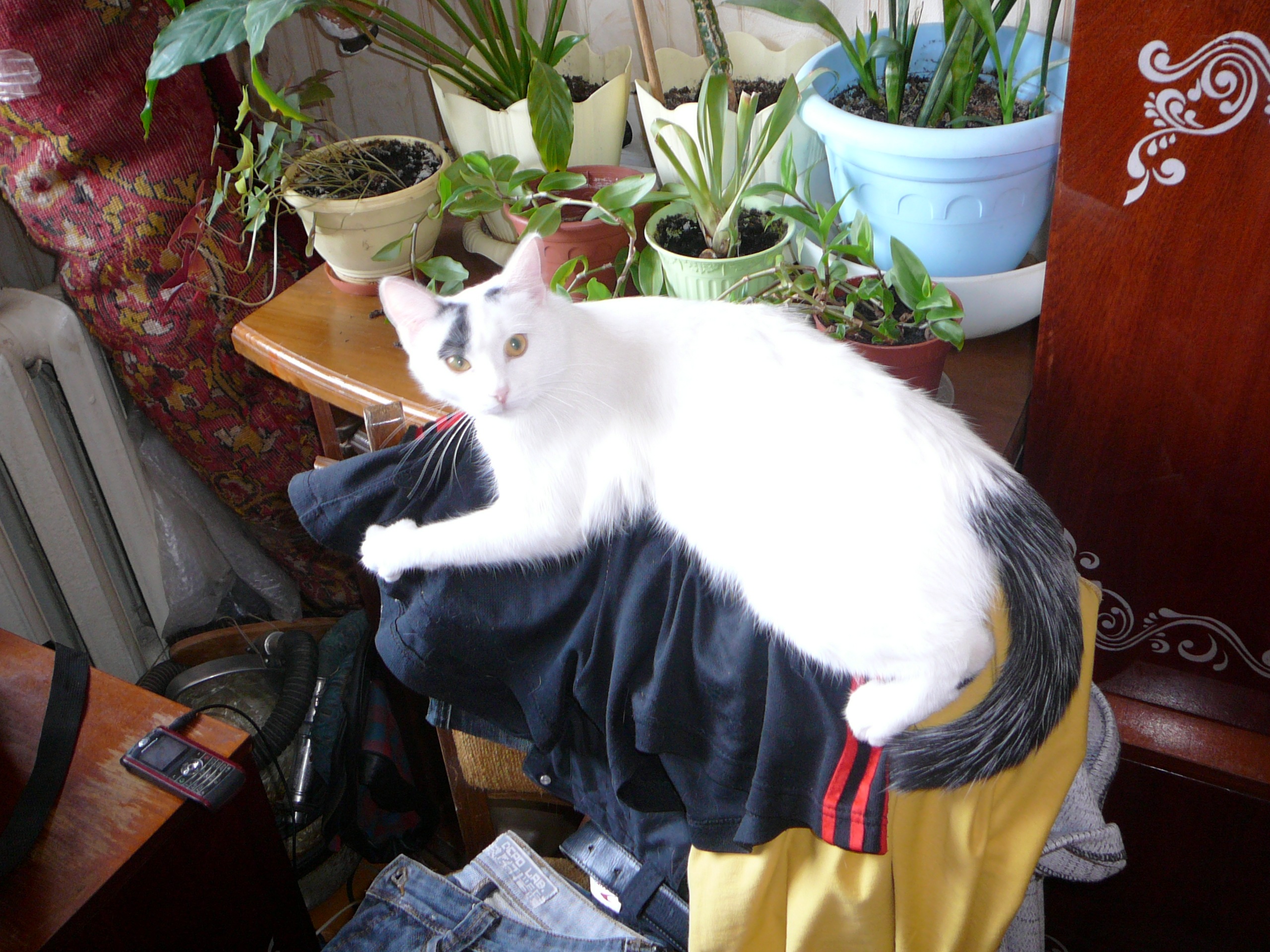 Фото профиля