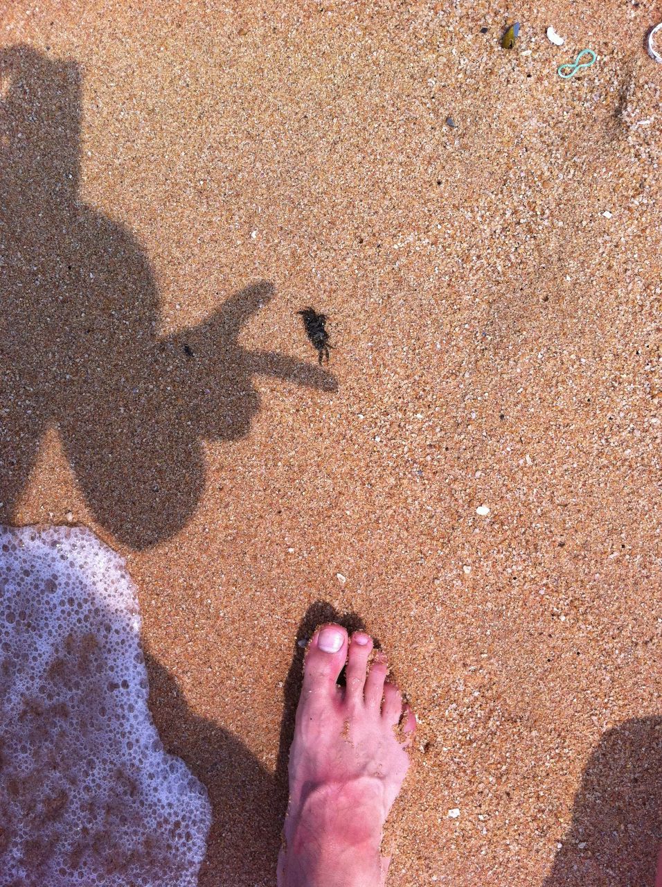 Евгений Николаев ен | Красноярск