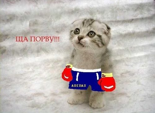 Федор Батарейкин | Владивосток