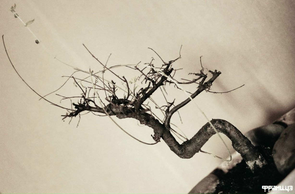 Александр Фомин | Екатеринбург